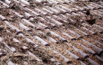 Somerton roof cleaning companies